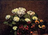 Hydrangias Cloves and Two Pots of Pansies